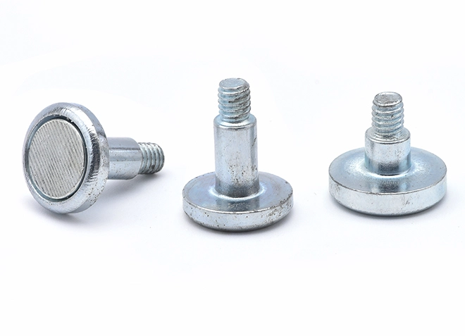 Magnetized Screw