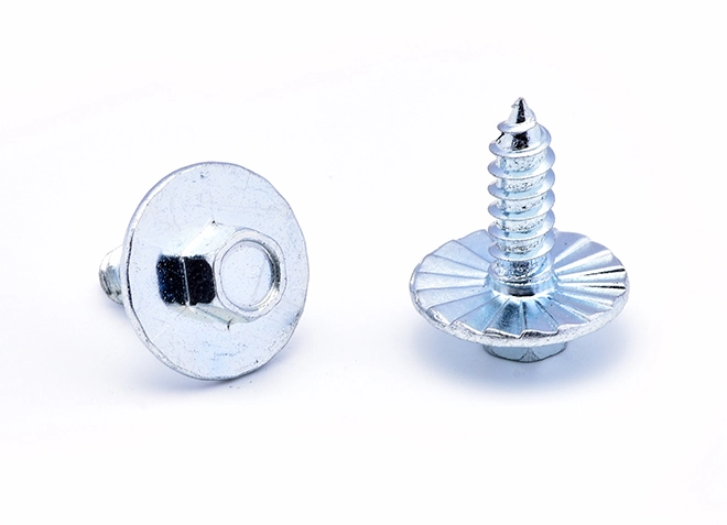 Oversized Head Screw with Washer