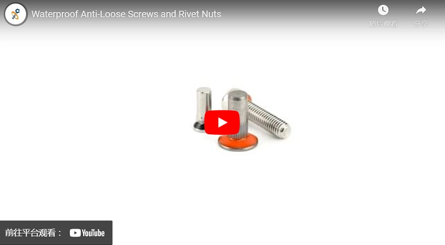 Waterproof Anti-Loose Screws and Rivet Nuts